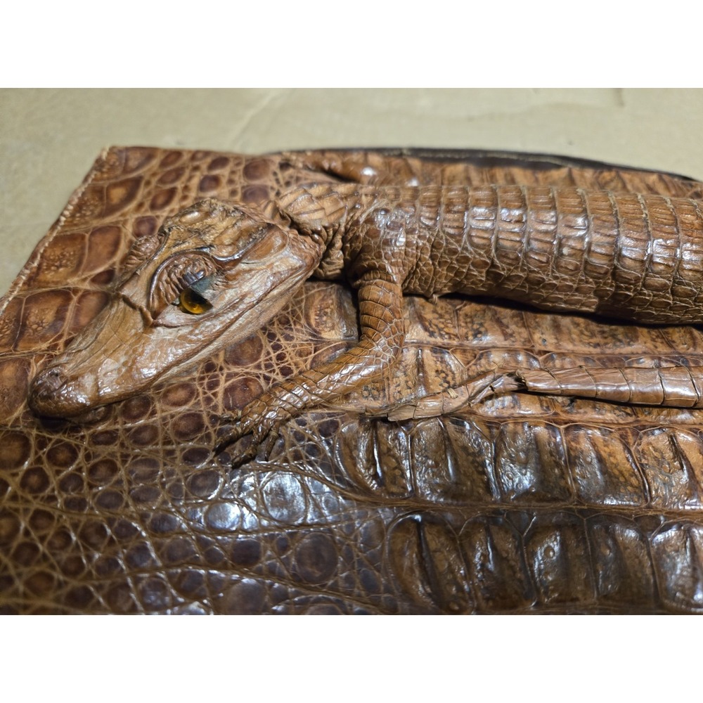 Vintage 1940's‎ Taxidermy Full Body Baby Alligator Handbag Clutch Purse - Picture 2 of 14